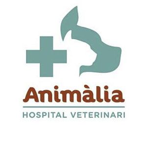 animalia