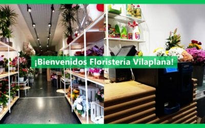 Bienvenidos Floristería Vilaplana